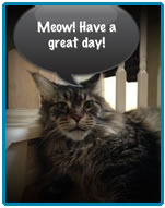 A cat is shown along with the text meow have a great day